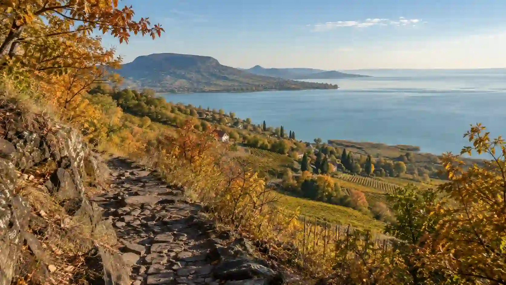 Őszi t&uacute;ra&ouml;sv&eacute;ny a Badacsonyon balatoni panor&aacute;m&aacute;val &eacute;s sz&iacute;nes őszi lombokkal